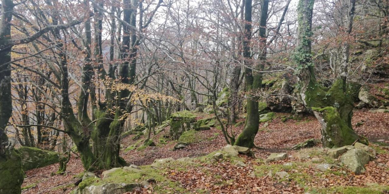 شقة Gartzinea, Amplia Y Preciosa Vivienda Rural Ezkurra المظهر الخارجي الصورة